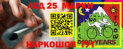 шишки Заволжье