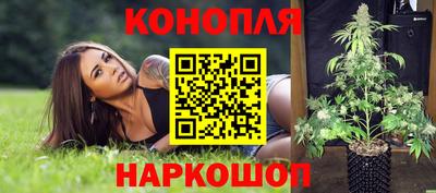 шишки Заволжье