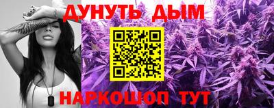 шишки Заволжье