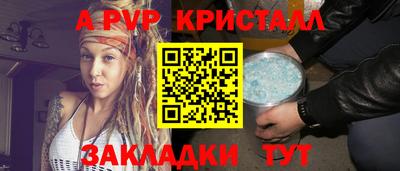 шишки Заволжье
