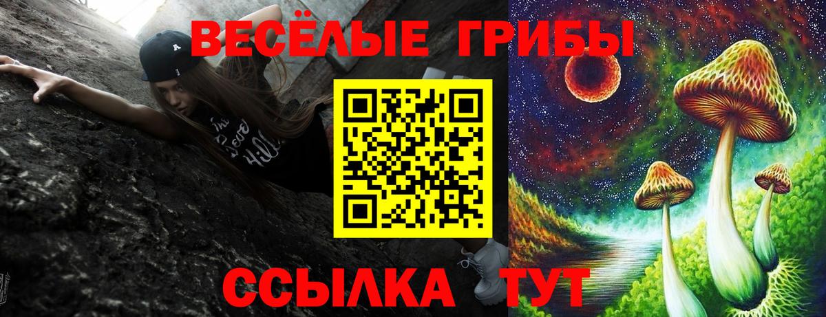 Галлюциногенные грибы Psilocybe  Вход с VPN  Буйнакск 