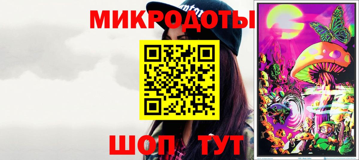 Галлюциногенные грибы Psilocybine cubensis Буйнакск